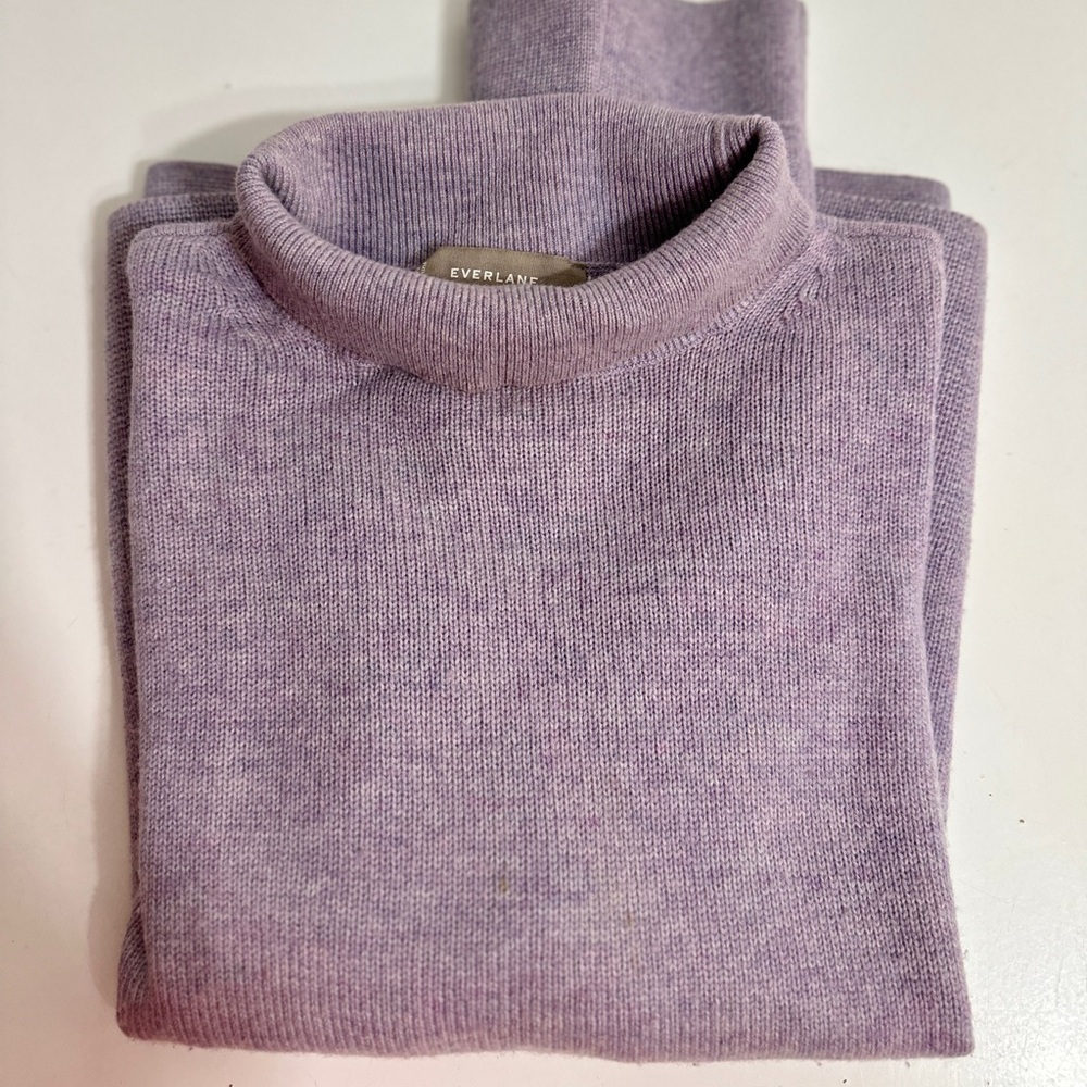 Everlane Women's Purple Cashmere Sweater